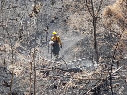 En la zona de la Carretera a Saltillo la Coordinación Municipal de Protección Civil y Bomberos de Zapopan, atendió dos puntos de incendio forestal. ESPECIAL