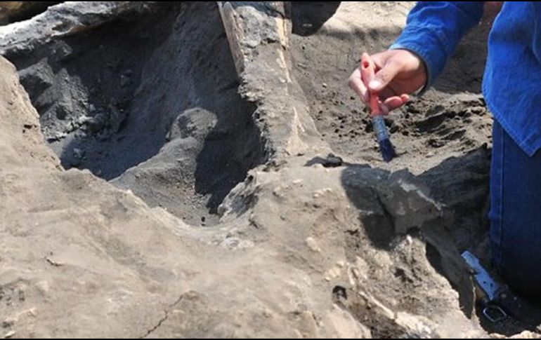 El hallazgo ocurrido en Gaza, simboliza las costumbres de ese territorio así como la cultura que sigue prevaleciendo. NTX / ARCHIVO