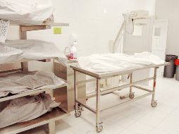 El Centro Nacional de Búsqueda tendrá un enfoque de carácter masivo o de gran escala para aumentar las probabilidades de identificación. SUN/ARCHIVO