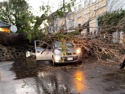 La conductora fue identificada extraoficialmente como Mary Domínguez, quien sufrió una crisis nerviosa. ESPECIAL