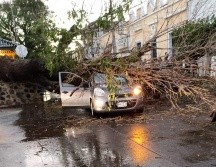 La conductora fue identificada extraoficialmente como Mary Domínguez, quien sufrió una crisis nerviosa. ESPECIAL