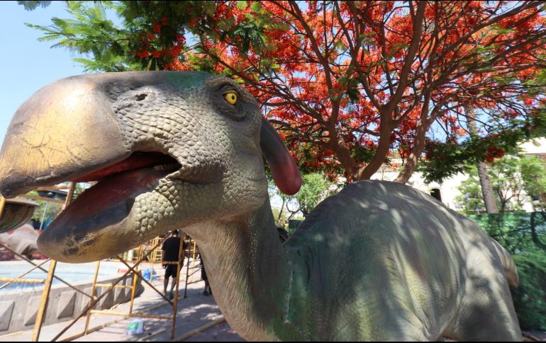 Las y los asistentes a esta muestra serán conducidos por medio de guías especializados. CORTESÍA / Gobierno de Guadalajara