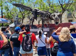 Familias enteras disfrutaron con los más pequeños de una prehistórica muestra que combina lo último en tecnología. EL INFORMADOR/G. Granados