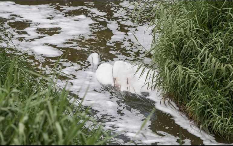 Se considera ecocidio si el daño abarca cuando menos diez hectáreas. EL INFORMAFOR/ARCHIVO