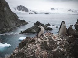 La organización benéfica dio a conocer que planea contratar a unas cinco personas para puestos como líderes de base, gerentes de tienda y asistentes generales. EFE / ARCHIVO