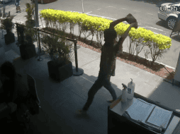 García Harfuch señala que el agresor sería un hombre de origen centroamericano. TWITTER / @soyirenelevy