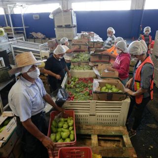 El DIF Jalisco entrega recursos a cuatro bancos de alimentos