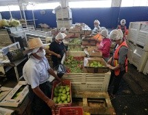 El objetivo de estas acciones es reducir el número de jaliscienses en pobreza alimentaria. EL INFORMADOR/ARCHIVO