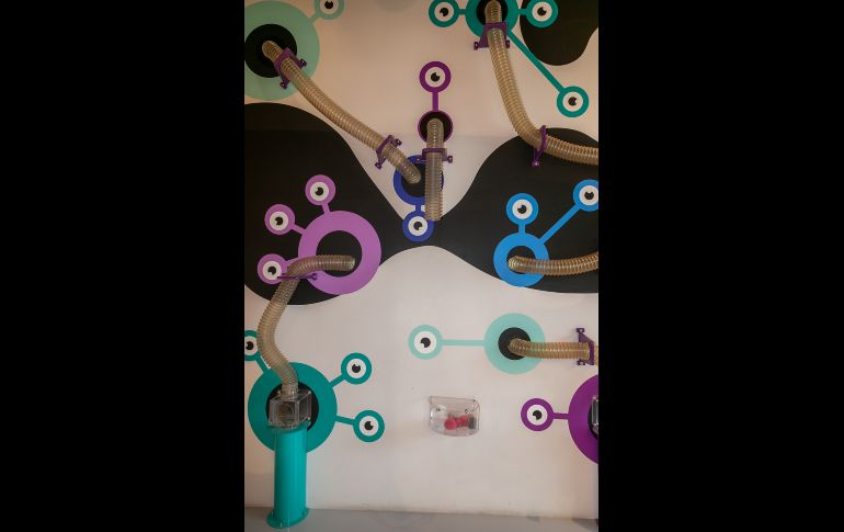 Aspecto. GENTE BIEN JALISCO/Jorge Soltero