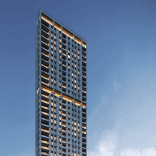 Vía del Bosque: el camino para una inversión estable y fuerte