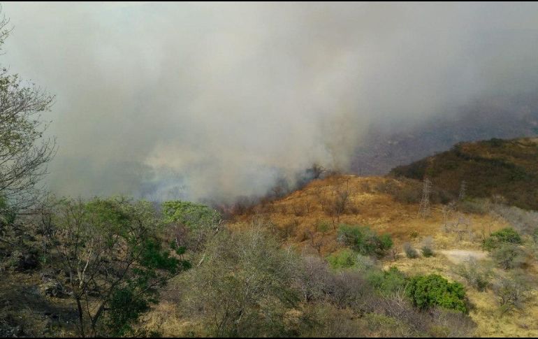 Informan que 20 elementos de Protección Civil y Bomberos de Guadalajara están trabajando en la zona afectada. TWITTER/@SemadetJal