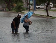 Temporada más prolífica de tormentas y ciclones tropicales, pero aseguran que esto también se debe al intenso calor. INFORMADOR/ARCHIVO