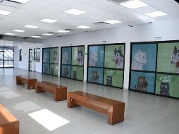 El Centro Integral de Salud Animal Zapopan atenderá no solamente a pacientes del municipio, sino de todo el Estado. TWITTER/ZapopanGob