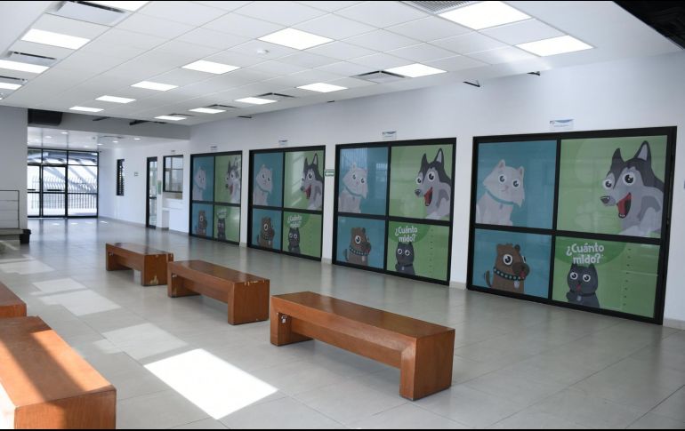 El Centro Integral de Salud Animal Zapopan atenderá no solamente a pacientes del municipio, sino de todo el Estado. TWITTER/ZapopanGob