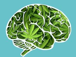 El cannabis tiene efectos en los procesos cognitivos. GETTY IMAGES