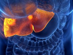 Los primeros casos de hepatitis se dieron a conocer a principios de abril, cuando Reino Unido registró síntomas de la dolencia en diez pacientes, todos menores de 10 años. GETTY IMAGES /