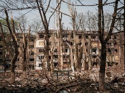 La ONU insiste en que la cifra real de víctimas civiles puede ser mucho mayor a los por ahora confirmados, ya que no se tienen datos completos de lugares con intensos enfrentamientos. AFP / ARCHIVO