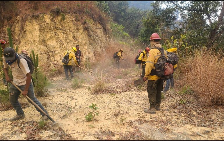 El incendio forestal se dio en los predios conocidos como El Norite, Soyatán y Las Ánimas. ESPECIAL