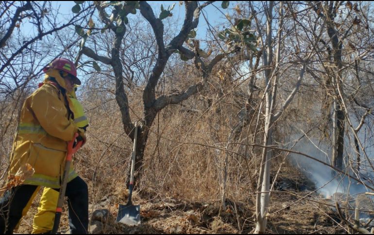 Brigadistas estatales y municipales trabajan en la zona. ESPECIAL/Ayuntamiento de Chapala