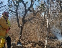 Brigadistas estatales y municipales trabajan en la zona. ESPECIAL/Ayuntamiento de Chapala
