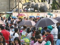 Chicos y grandes disfrutaron de la exhibición, luego de permanecer formados durante horas para poder ingresar. EL INFORMADOR/ A.Camacho