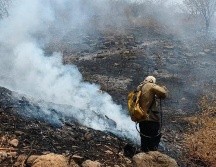 Bomberos sofocan incendio forestal en Cerro del Patomo