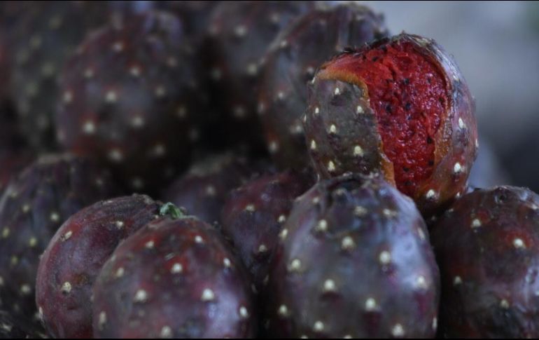 La feria estará instalada durante los meses de mayo y junio de 09:00 a 18:00 horas. ESPECIAL / Gobierno de Zapopan