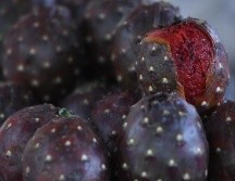 ¡No te lo pierdas! Promueven Feria de la Pitaya en Zapopan