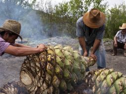 El dulce de maguey que elaboran en la Mixteca de Oaxaca tarda cinco días y cinco noches en estar listo. SUN/ARCHIVO