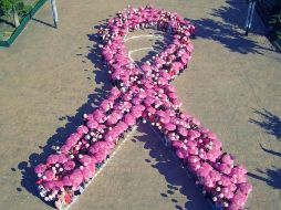 Con el brasier se podría detectar a tiempo el cáncer de mama y otras enfermedades relacionadas, evitando el actual sobrediagnóstico y sobretratamiento.NTX / ARCHIVO