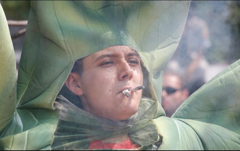 El criterio sobre la posesión simple de la mariguana no es obligatorio, pero puede ser retomado en futuros amparos. EL INFORMADOR/ARCHIVO