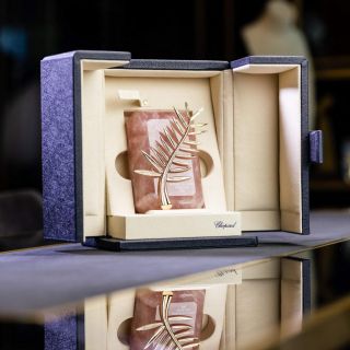 Jalisco asistirá al Festival de Cannes