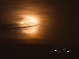 Con este avance científico se espera que en un futuro cercano los astronautas puedan cultivar su propia comida en el espacio. NTX/ARCHIVO