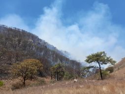 El fuego fue extinguido en su mayoría a las 18:00 horas. ESPECIAL