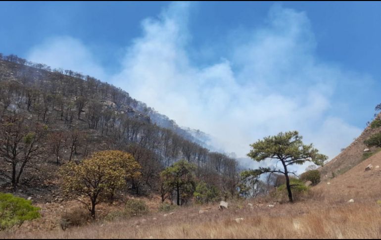 El fuego fue extinguido en su mayoría a las 18:00 horas. ESPECIAL