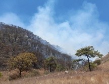 El fuego fue extinguido en su mayoría a las 18:00 horas. ESPECIAL