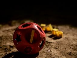 El padrastro no supo dar explicaciones de las lesiones de la niña, contradiciéndose en múltiples ocasiones. EL INFORMADOR/ARCHIVO