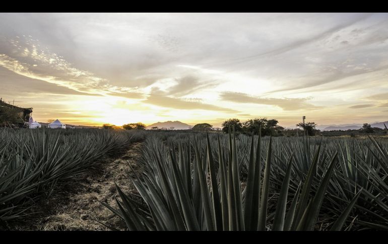 Akamba 2022 se llevará a cabo este 14 de mayo. CORTESÍA/ Akamba