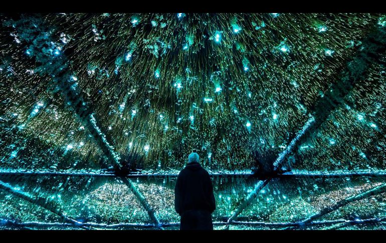 El Circuito de Arte de Akamba 2022 contará con el trabajo de diversos artistas, en su mayoría mexicanos. CORTESÍA/ Akamba