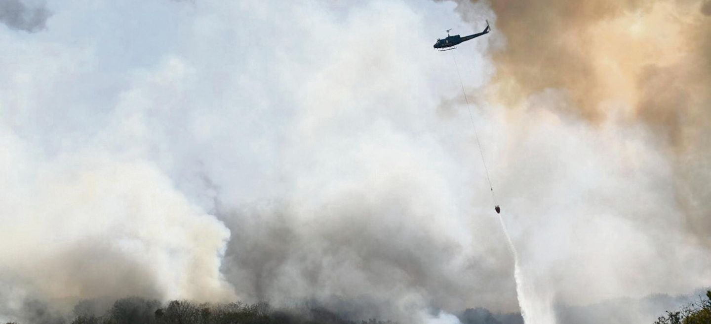 Autoridades estatales y municipales emplean recursos económicos y humanos para defender los bosques de Jalisco. NOTIMEX