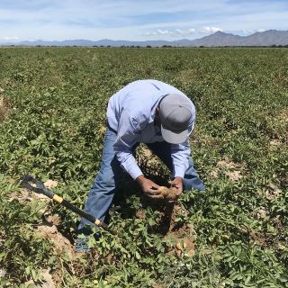 Mega y Biva crean el primer bono sustentable de una institución no bancaria