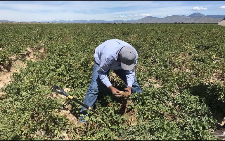 Destacan que utilizarán los recursos recaudados para financiar proyectos del sector agrícola, energía renovable, agua, prevención y control de la contaminación. EFE / ARCHIVO