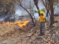 Desde el 14 de mayo se presenta el incendio forestal en Autlán de Navarro. ESPECIAL