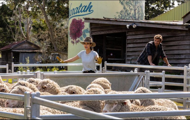 ”Un maridaje perfecto” es uno de los estrenos de Netflix de hoy. CORTESÍA / NETFLIX