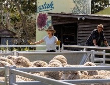 ”Un maridaje perfecto” es uno de los estrenos de Netflix de hoy. CORTESÍA / NETFLIX