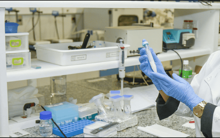 Gracias a los estudios de la Universidad de Pensilvania y del Instituto de Bioingeniería de Cataluña, se pudo lograr la creación de los 