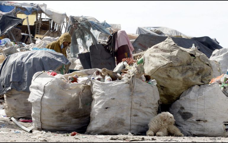 El lunes 23 de mayo de 2022 será la fecha límite para presentar el calendario de limpieza. EL INFORMADOR/ARCHIVO