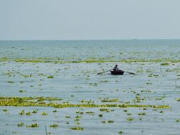 La recuperación de las presas y el lago fue alentada por un temporal de estiaje menos severo y el registro de algunas lluvias. EL INFORMADOR/ARCHIVO