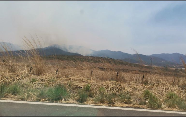 Hasta el momento se desconoce la superficie que el fuego ha afectado en estos dos parajes. ESPECIAL