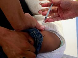 Vacuna contra COVID ofrece una respuesta inmune fuerte, una alta eficacia y una seguridad favorable, en niños entre 6 meses y 5 años. EL INFORMADOR/ARCHIVO